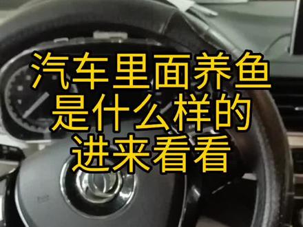 东风景逸x5 突然防盗,仪表乱码,进去检测流程