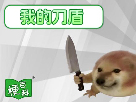 【梗百科】我的刀盾和哔哔拉布是啥梗? 最早用在各种meme剧场中,现在热度非凡呀
CV:伊闪闪 文案:灵念卿 后期:谢华鑫
#meme #空耳 #音效 #巴巴博一 #2026我的新春vlog