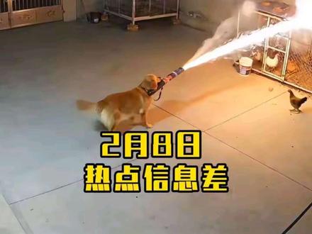 2月8日热点信息差 #热点 #社会热点 #社会热点事件