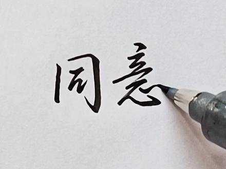 不同阶段的领导写同意
#写字 #手写 #传统文化