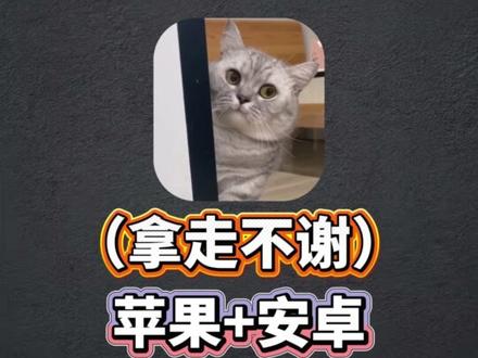 动作澉玞鴉鴚鴛多好 dynamicSpot安卓灵动岛版 一键设置自己的风格 #dynamicSpot dynamicSpot设置