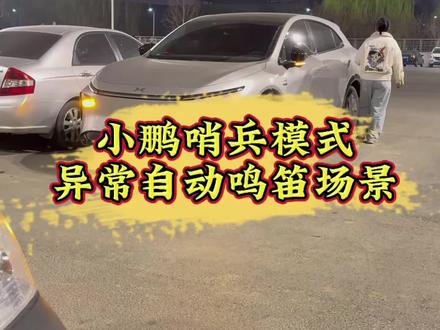 小鹏哨兵模式异常自动鸣笛场景码#小鹏汽车 #小鹏G7 #小鹏用车 #新能源汽车