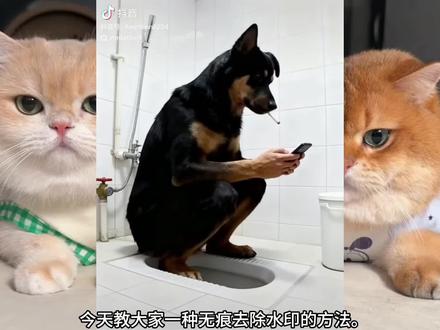 给大家分享一个快速去除视频中水印的免费工具#视频去水印 #如何快速去除视频中水印 #创作者中心