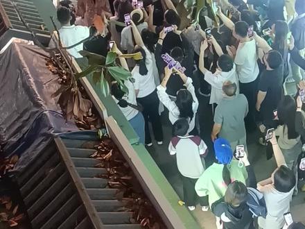 李依晓现身宝龙二十四街