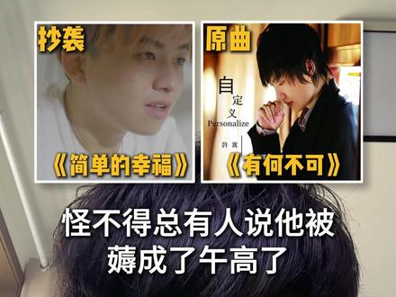 原来许嵩被抄袭了这么多歌曲,真被薅成午高了!#抄袭 #许嵩 #有何不可 #简单的幸福
