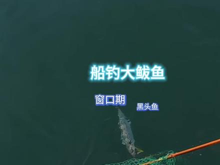 我的梦想就是钓到大鲅鱼!! #海钓船钓 #路亚鲅鱼#出海