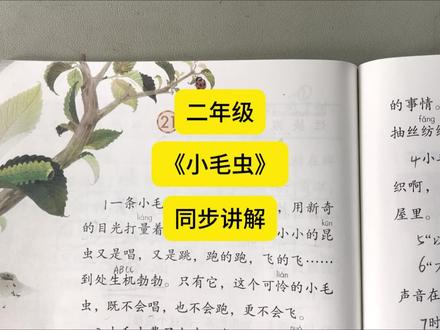 二年级下册《小毛虫》同步讲解#二年级 #小毛虫 #同步课