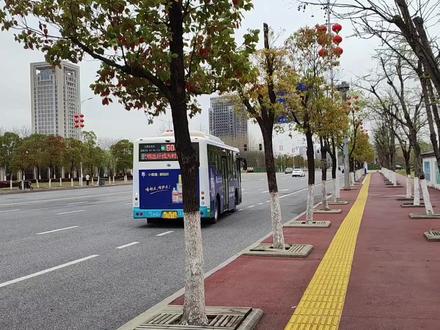 中国傩园·南昌瓷板画博物馆一览vlog #在家云游博物馆 #城市记忆 #游记 #南昌 #博物馆 #vlog #傩园 #人文