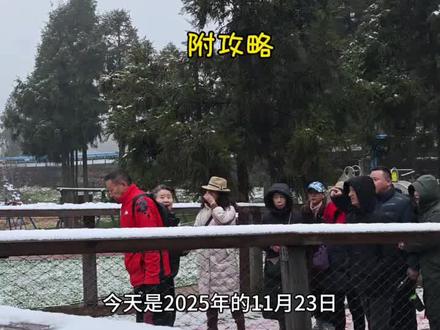 仙女山11月23日最新旅游现状,地面暂无厚积雪,看雪可再蹲蹲~ 记得每日天气实况锁定我呀!给大家整理了游玩攻略,希望可以帮到大家。
1,景区共三个核心景点,游玩时间4~6小时。
2.第1站-树顶漫步森林之眼,俯瞰仙女山空中全景,还可体验亚洲最长云端悬降百米滑梯;
第2站-广袤大草原;
第3站-最美波浪公路,拍照都很出片。
3. 景区吃食少且贵,建议自带。
4.住宿选仙女镇游客接待中心附近,吃饭坐车方便。
5.成人推荐公园景区套票,包含三大核心景点,还赠送亚洲最长云端旋降百米滑梯,性价比超高。
6.自驾游,车子可开进景区,公园内免费停车。自由行去景区,都有交通工具,经济实惠,别坐黑车哟。
大家还有什么问题也可评论区留言哦!
#重庆武隆仙女山 #仙女山旅游攻略 #下雪 #重庆周边游