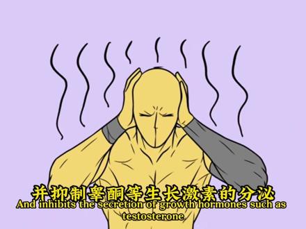 健身还熬夜?听我一句劝:你不如别练了!#健身干货 #增肌减脂 #熬夜的危害 #皮质醇