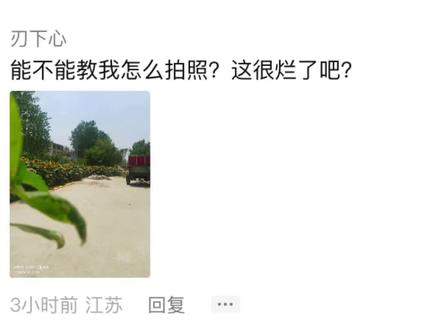 让我省点心吧 烂片王们~