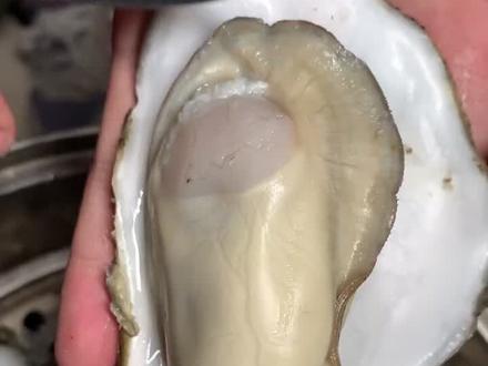 生蚝到底哪里不能吃?