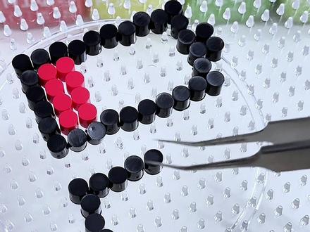 喷水就可以得到完美无孔拼豆? #拼豆 #拼豆豆 #大人也要玩玩具 #记录这一刻 #手工