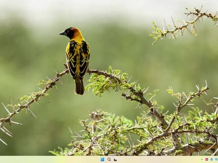 3月13日 想安装opneclaw的可以看下,有什么问题可以留言#小龙虾 #OpenClaw #AI