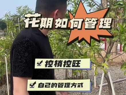 你们还不懂开花要如何管理吗?#种植基地 #三农种植 #黄晶果保花保果