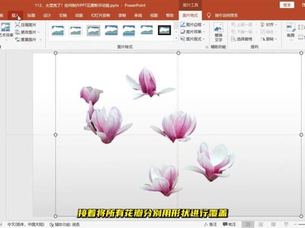 太漂亮了!如何制作PPT花瓣散开动画 #ppt #ppt教学 #ppt教程 #ppt小技巧 #ppt设计