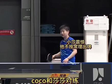 莎宝震惊#孙颖莎 这确实研究不了 #邱贻可孙颖莎创业型师徒