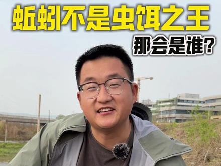 你心目中有没有更好的虫饵?