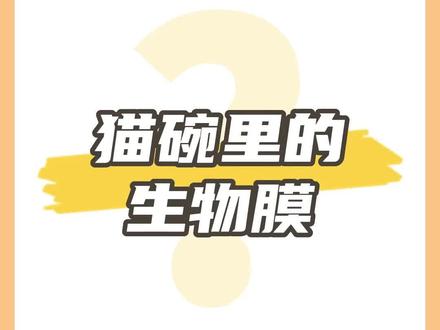 猫碗不勤洗!比马桶还脏!#抖in萌宠计划 #养猫进阶指南