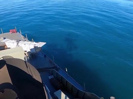 西方并非最大受害者?伊朗封锁霍尔木兹海峡,为何日本先陷入危机 #时代的荣耀 #全球创作者计划 #零基础看懂全球 #春节世界观察