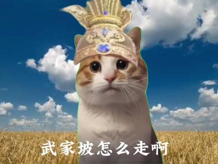 请问,武家坡怎么走啊#《武家坡2021》薛平贵与王宝钏