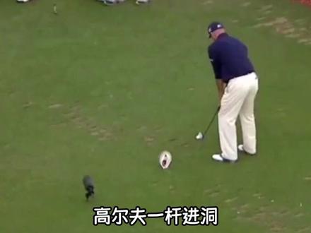 果然是富人运动 #高尔夫 #涨知识 #万万想不到 #震惊