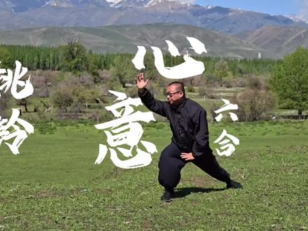 心意六合拳就是一把一把的练,原始古朴却是中华功夫的底层逻辑#翀师兄 #内家拳 #心意拳 #心意六合拳