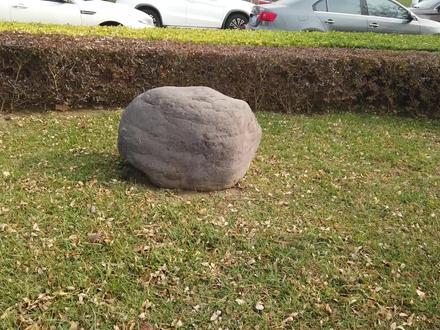 【岩石与矿物】23 生活中的安山岩、安山玢岩、闪长玢岩、闪长岩