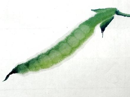 简单易学的《豌豆荚画法》,你学会了吗?#国画入门教学 #零基础国画 #谁说国画不抖音