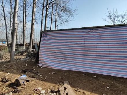 花了21元网购了养羊神器,再也不怕冬天羊冻着了,养羊人参考一下#养羊创业 #养殖人加油 #三农养殖