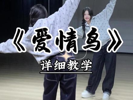 《爱情鸟》详细教学来咯~ #yellowdaddy编舞 #魔菇舞蹈 #零基础舞蹈 #舞蹈教学