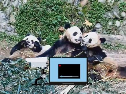 怎样利用现有摄像头做抖音慢直播呢,超详细教程来啦,还分享海康rtsp取流地址#慢直播 #obs #监控摄像头 #安防监控 #抖音直播