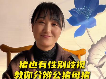 下次买肉不要买母猪肉啦#猪肉 #母猪产仔