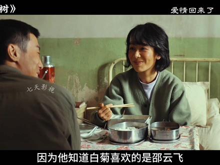 白菊与绍云飞和好如初,白椿为了他们的幸福选择离开#生命树 #白菊 #杨紫 #梅婷