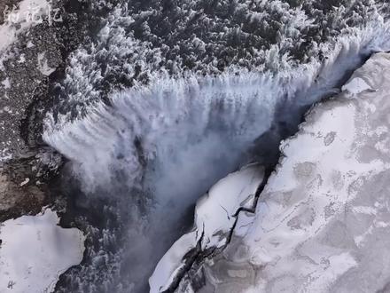 冰岛——地平线的守护者 #风景 #野生动物零距离 #科普 #每一帧都是热爱