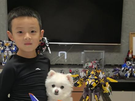 #dou上热门 风不需要被归类,战场由我重新定义。#炫卡斗士 #儿童玩具 #变形玩具 #男孩子的快乐 @DOU+小助手