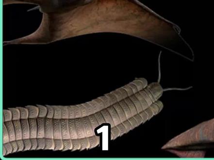 比恐龙还可怕的10种远古动物(1)#动物世界 #泰坦巨蟒