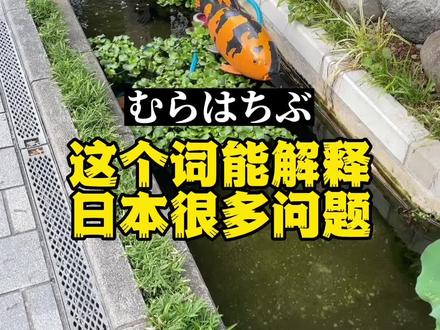日本社会有种无形的压抑感。那这种压抑感是什么?来自于哪里呢?日本的“村八分”
#日本生活 #日本文化