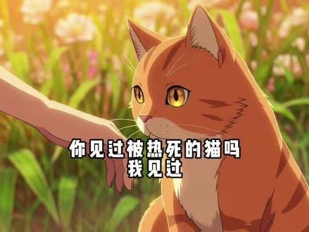 你见过被热死的猫吗?我见过。#我和我的猫 #铲屎官的日常 #科学养猫 #养猫人的夏季保命常识 #新手养猫