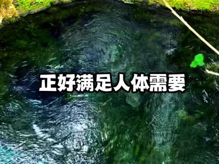 巴马山泉水到底好不好,只有喝了才知道,它是来自大山深处自涌泉,是弱碱性小分子团水#巴马长寿之乡 #健康饮水