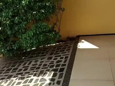 寄生在幼鸟身上的虫子被全部取出来了,这过程是不是觉得很爽?#幼鸟 #鸟类救助 #爱鸟护鸟 #动物鸟世界#寄生虫