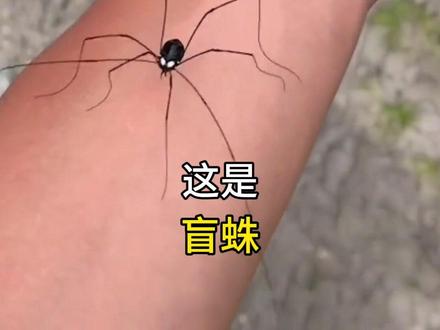 分享13种不同的生物,你认识哪些,喜欢哪些?有的需千万小小!