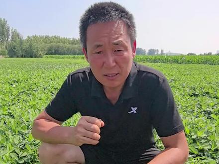 青虫为啥打几遍都治不住