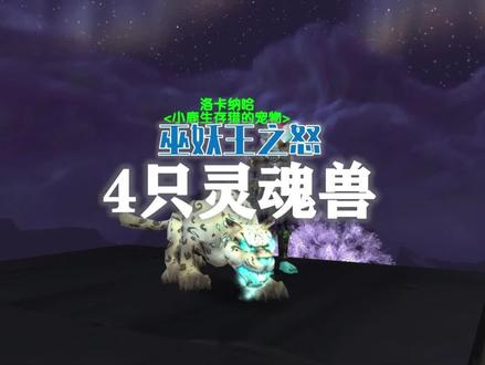 【抱着教你玩】这可能是抓4大灵魂兽最好的时机了!