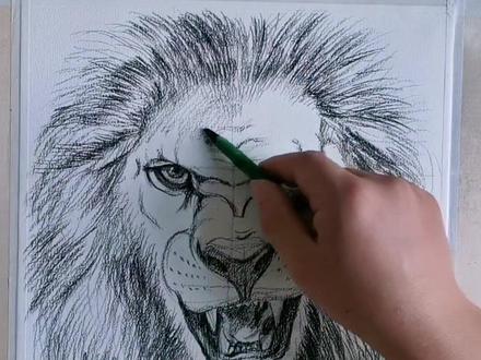 #创作灵感 #画画 #原创 #手绘 #美术生 零基础素描教程画狮子。