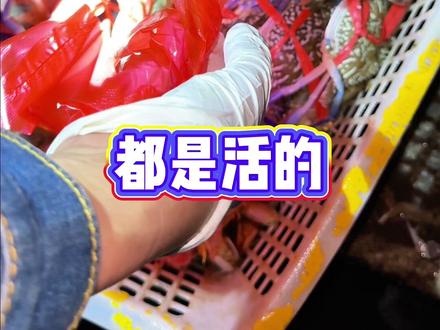 北海海鲜真实行情:2块一斤的鱼比青菜还便宜,你们那卖多少呢?#北海海鲜价格 #真实生活分享计划 #海鲜市场买海鲜 #买海鲜攻略 #沙田港码头海鲜