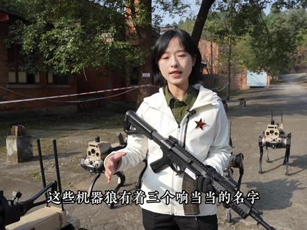 #最新一代机器狼集结 #中国机器狼群巷战画面首次公开 能语音控制,看懂手势,枪械握把联动。轻重火力梯次衔接,实现火力压制、精准狙杀!#召唤机器狼的方式有几种 #时代的荣耀 #聚v计划