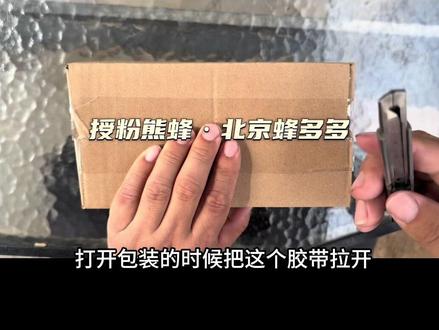宠物熊蜂饲养指南 熊蜂#授粉 #授粉熊蜂#宠物