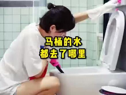 冲完厕所后的水最终会流到哪里去呢?会被循环利用吗?#每天跟我涨知识 #知识分享 #科普一下 #冷知识 #涨知识