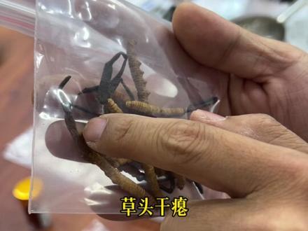 世界上最强的十种泡酒料#中药材#泡酒